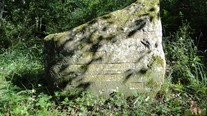 Ritterstein Nr. 210-3b Ruine Storrwoogerhof - Forsthaus.JPG - Ritterstein Nr.210 Ruine Storrwoogerhof - Forsthaus